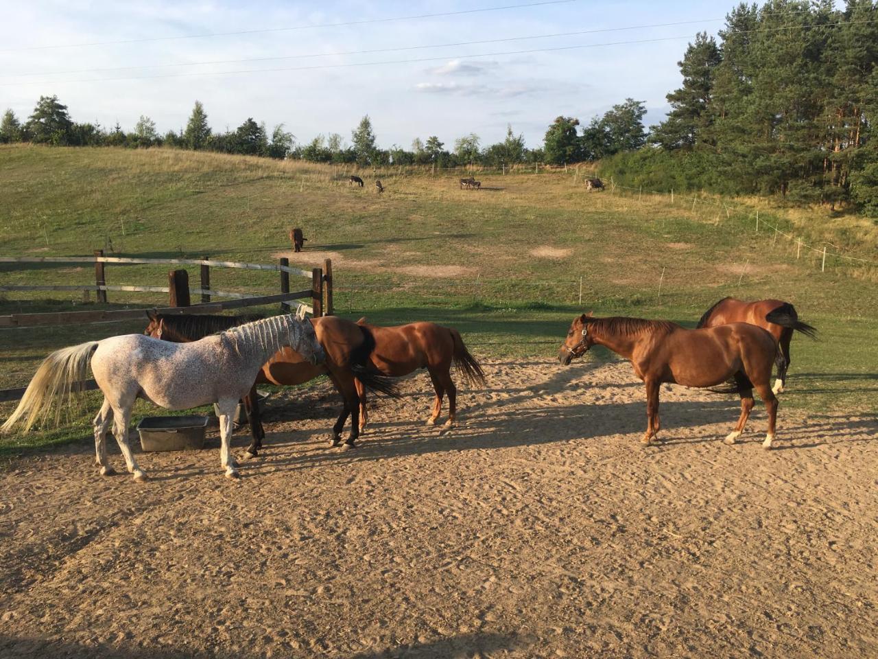 Toskania Kociewska Nowe Luaran gambar